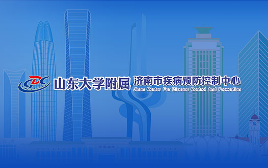 濟南高端網站設計,濟南高端網站建設案例
