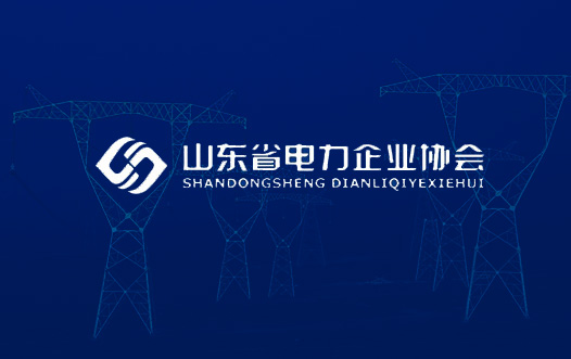 山(shān)東電(diàn)力企業協會